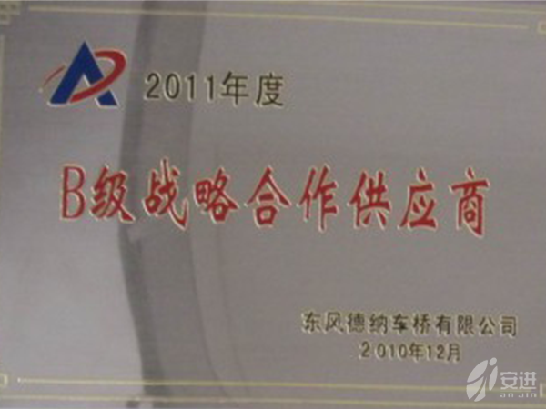 德納B級(jí)供應(yīng)商2010